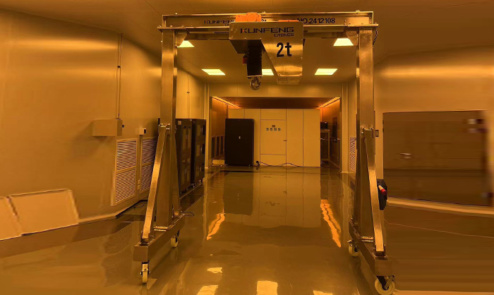 Liftable and movable gantry crane