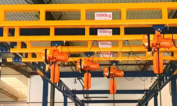 Modular combined workstation crane